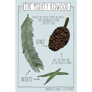The Mighty Redwood postcard from Pen+Pine