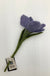 Felt Flowers - Crocus Purple