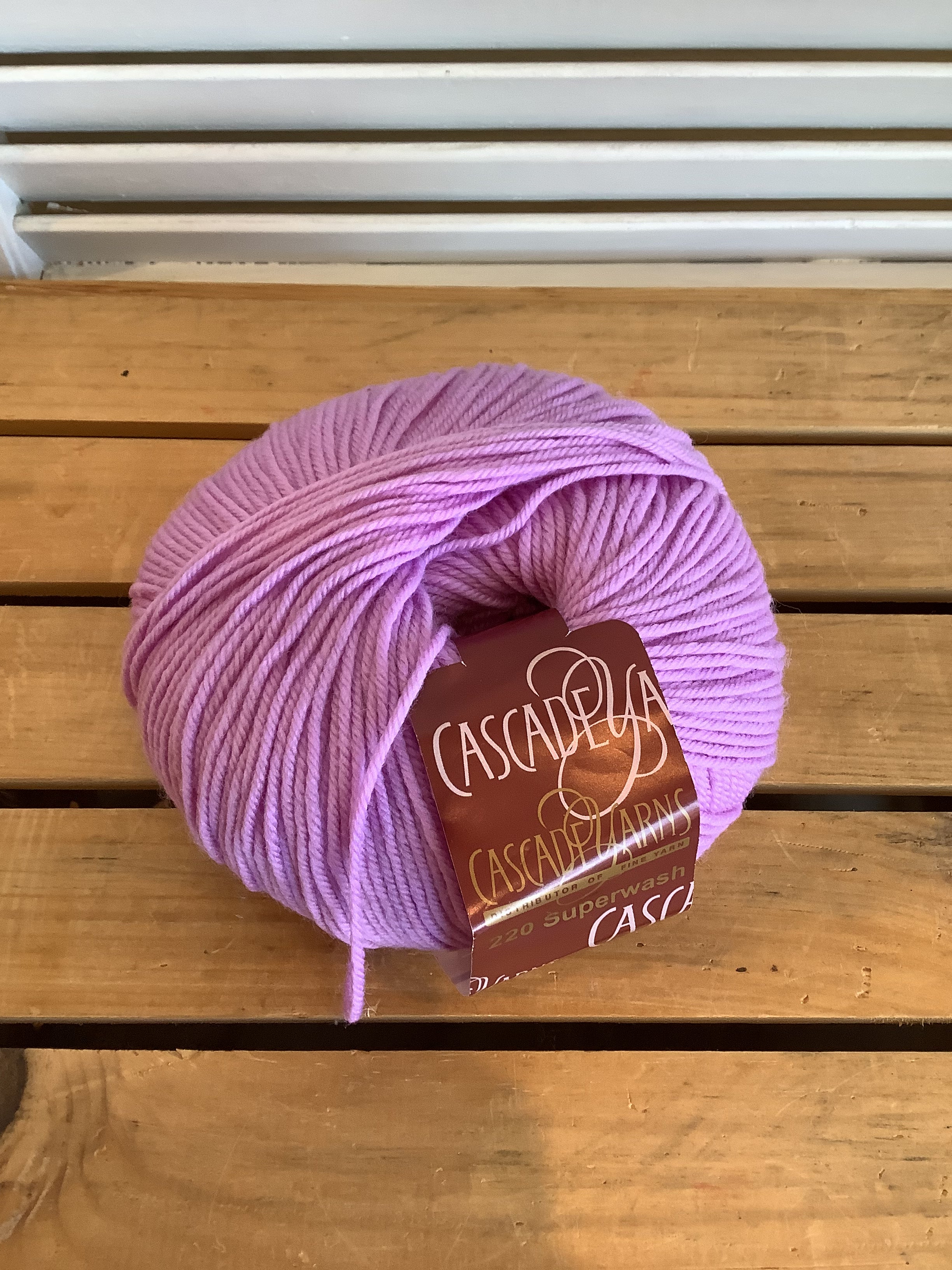 Color 842 - Cascade 220 Superwash Various colorways