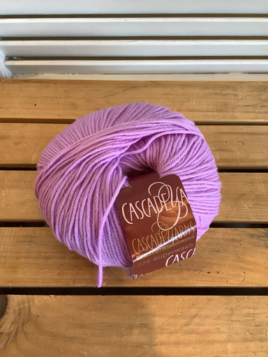 Color 842 - Cascade 220 Superwash Various colorways