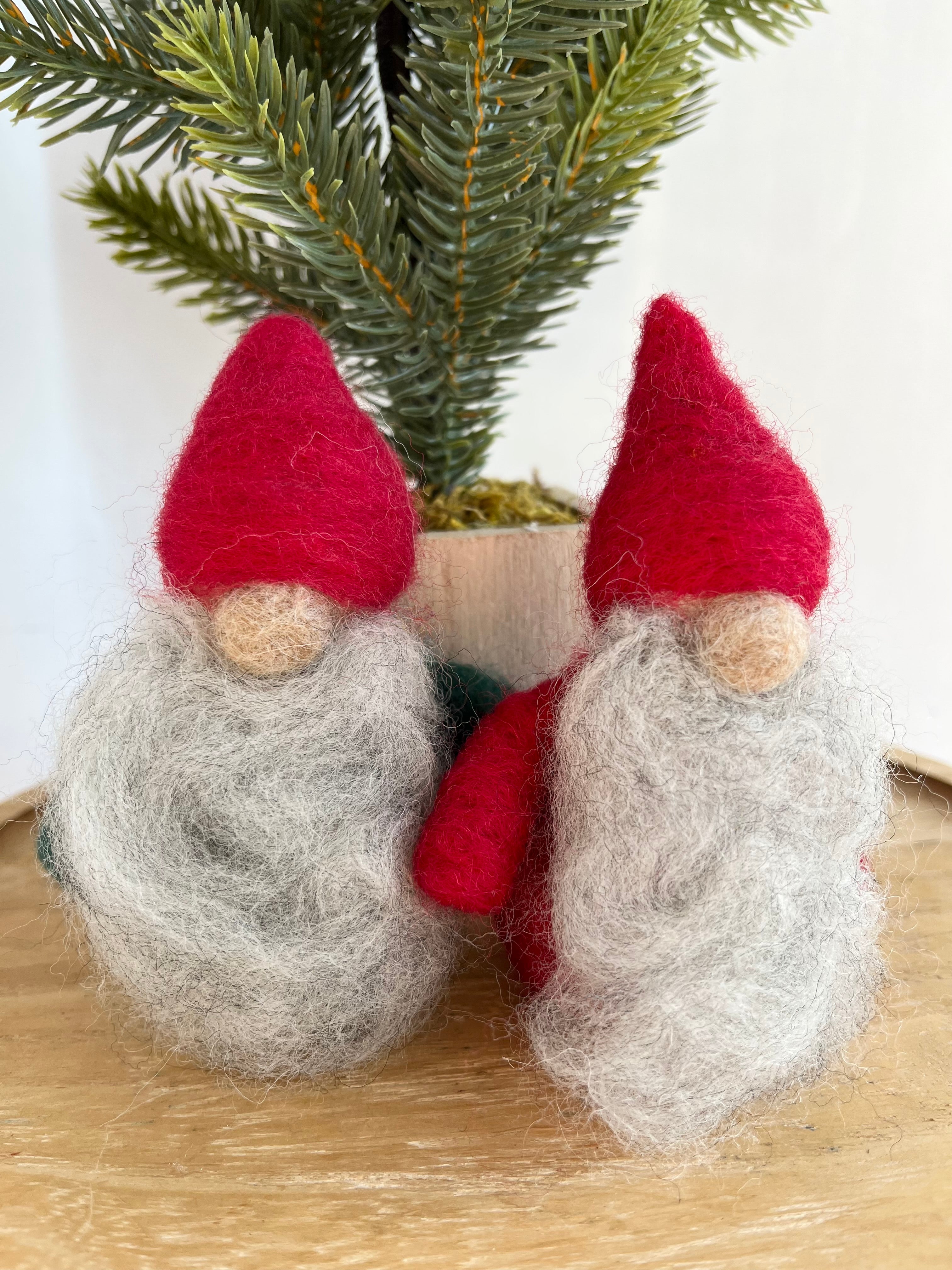 Needle Felted Gnomes Class
