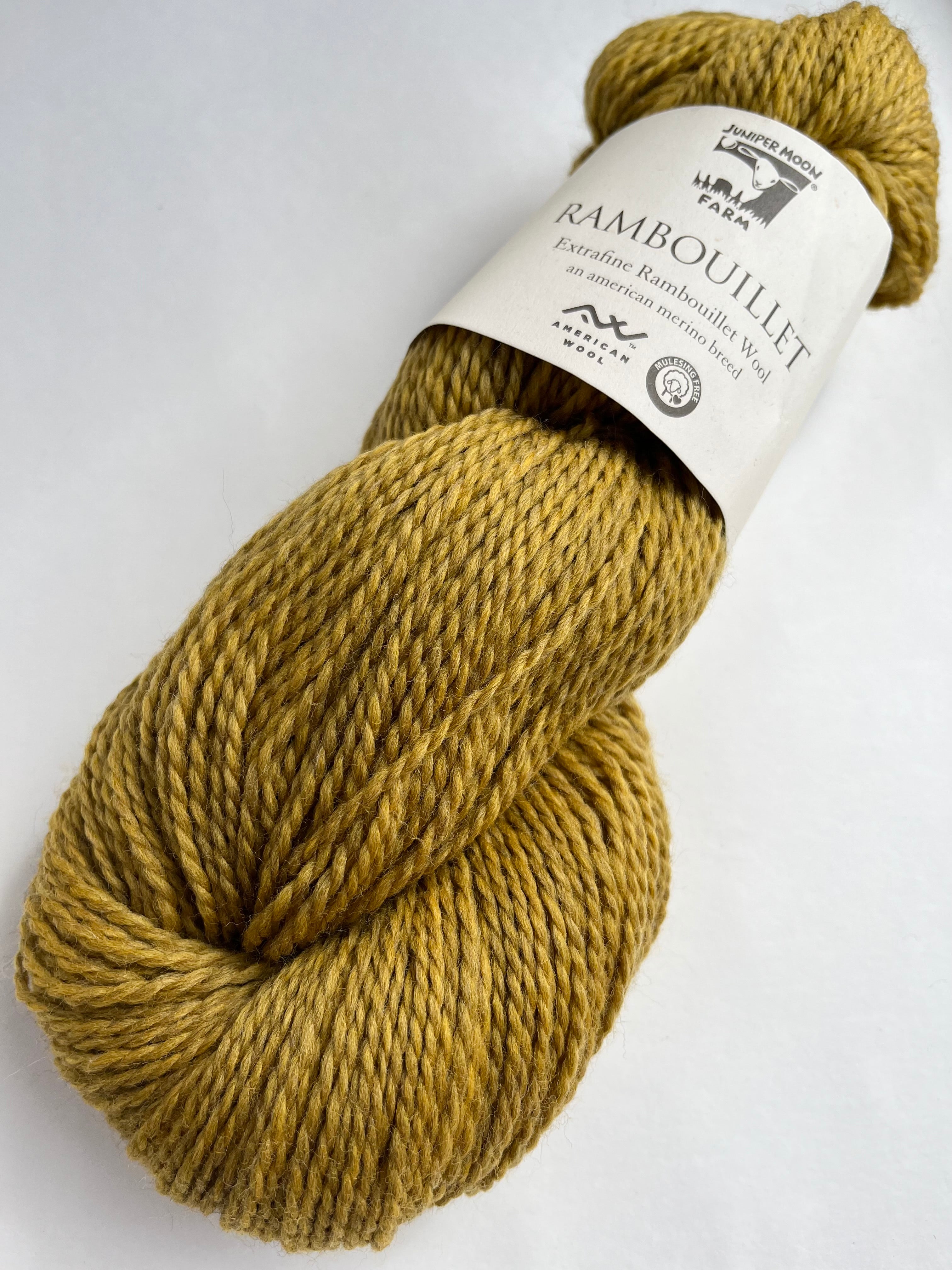 Daffodil - Rambouillet from Juniper Moon Farm