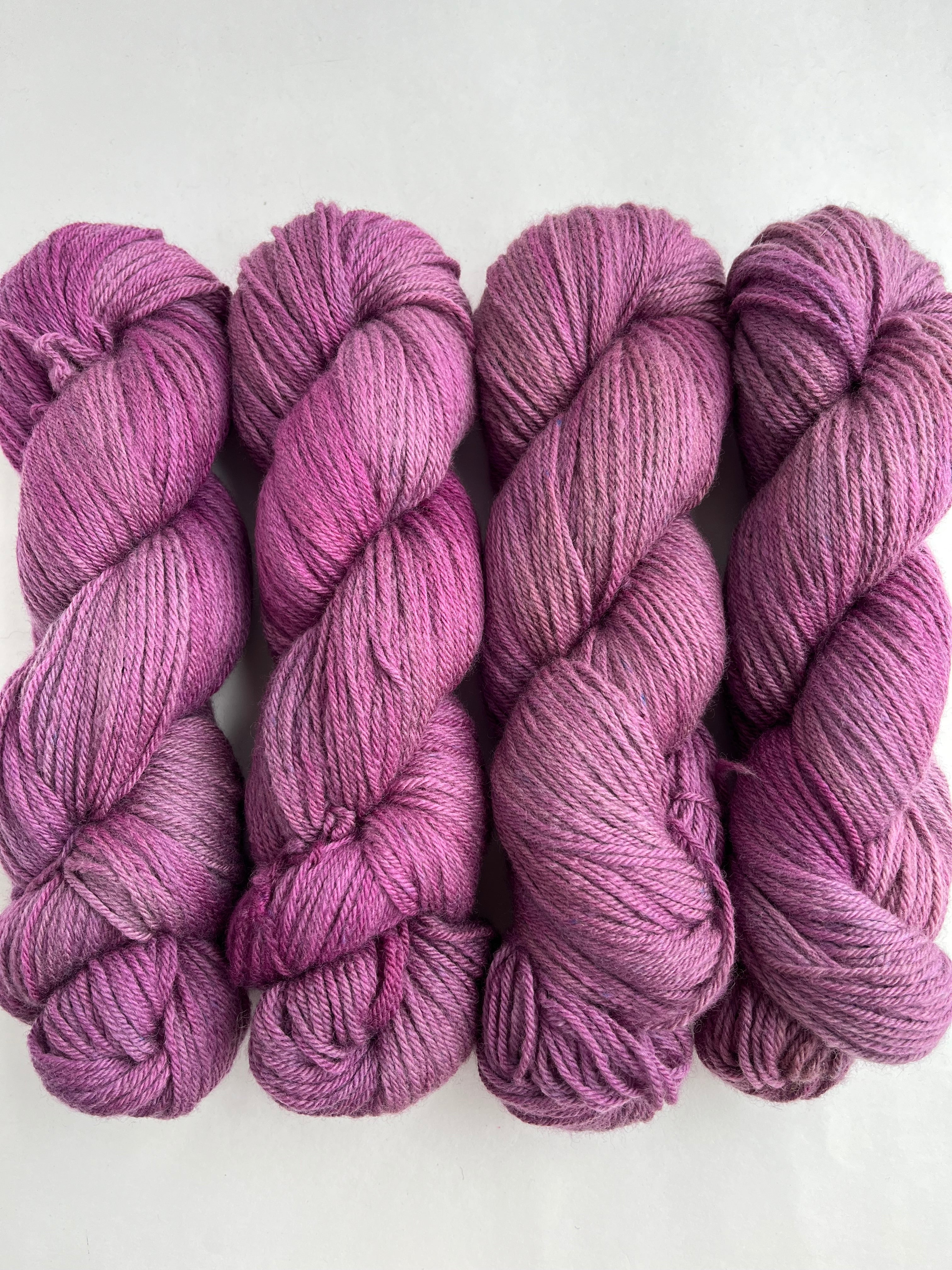 Zinnia - Tributary DK