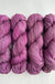 Zinnia - Tributary DK