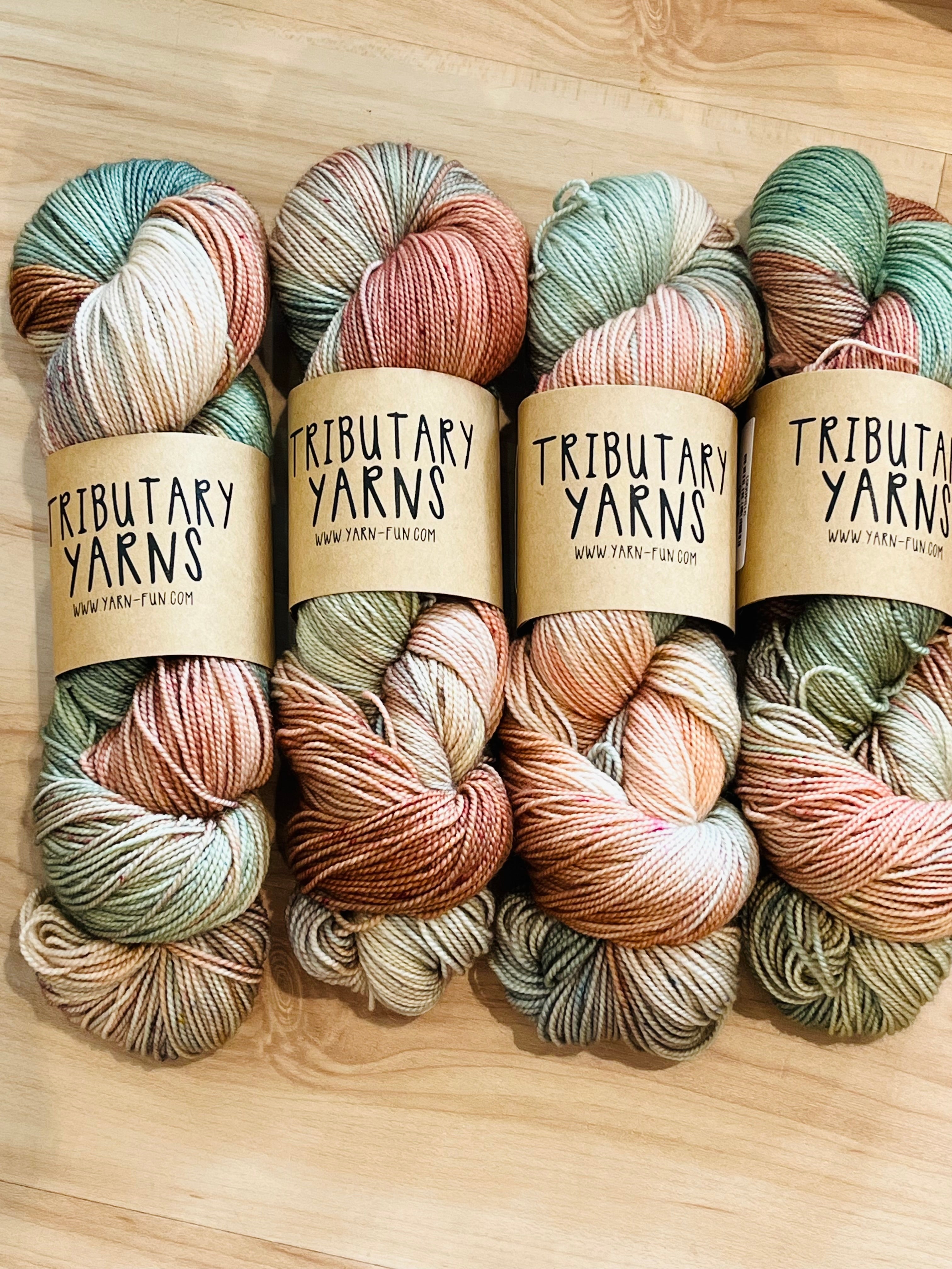 Tributary Color of the Month yarn