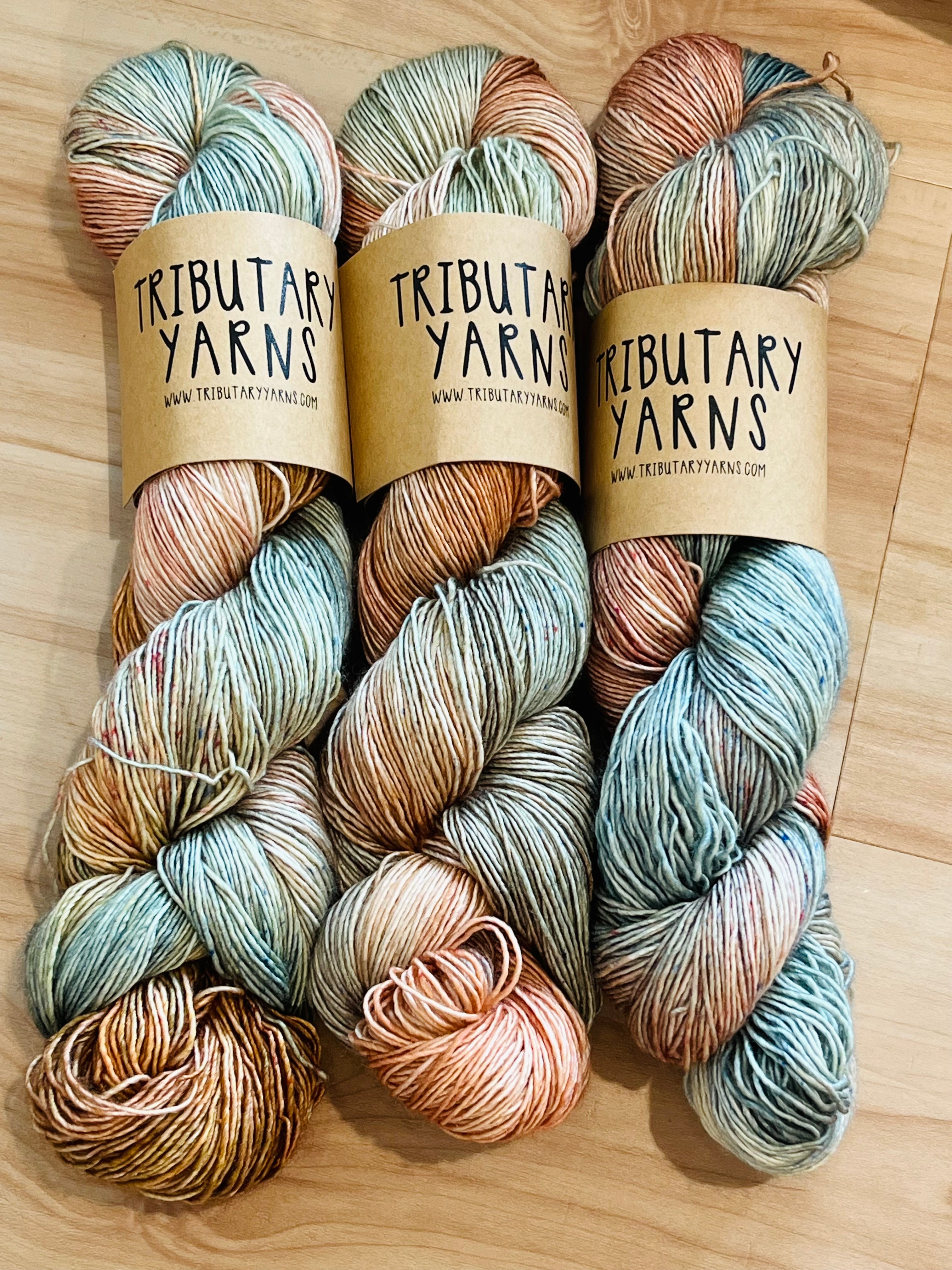 Tributary Color of the Month yarn