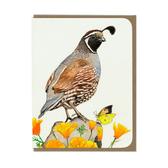 Cards from Amy Rose Moore Illustrations