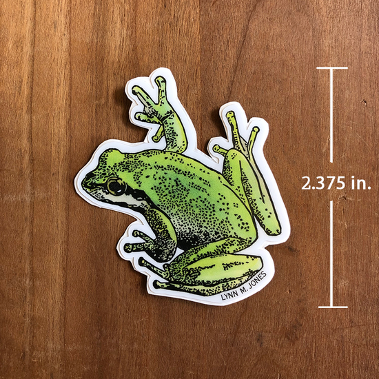 Pacific Chorus Frog - Stickers from Just My Type Letterpress