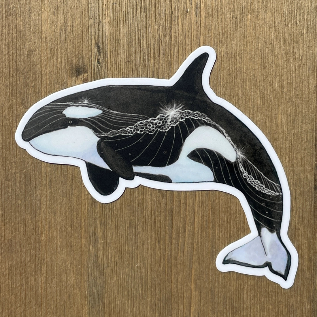 Orca Whale sticker