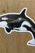 Orca Whale sticker