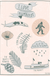 Humboldt Sticker Sheet from Pen+Pine